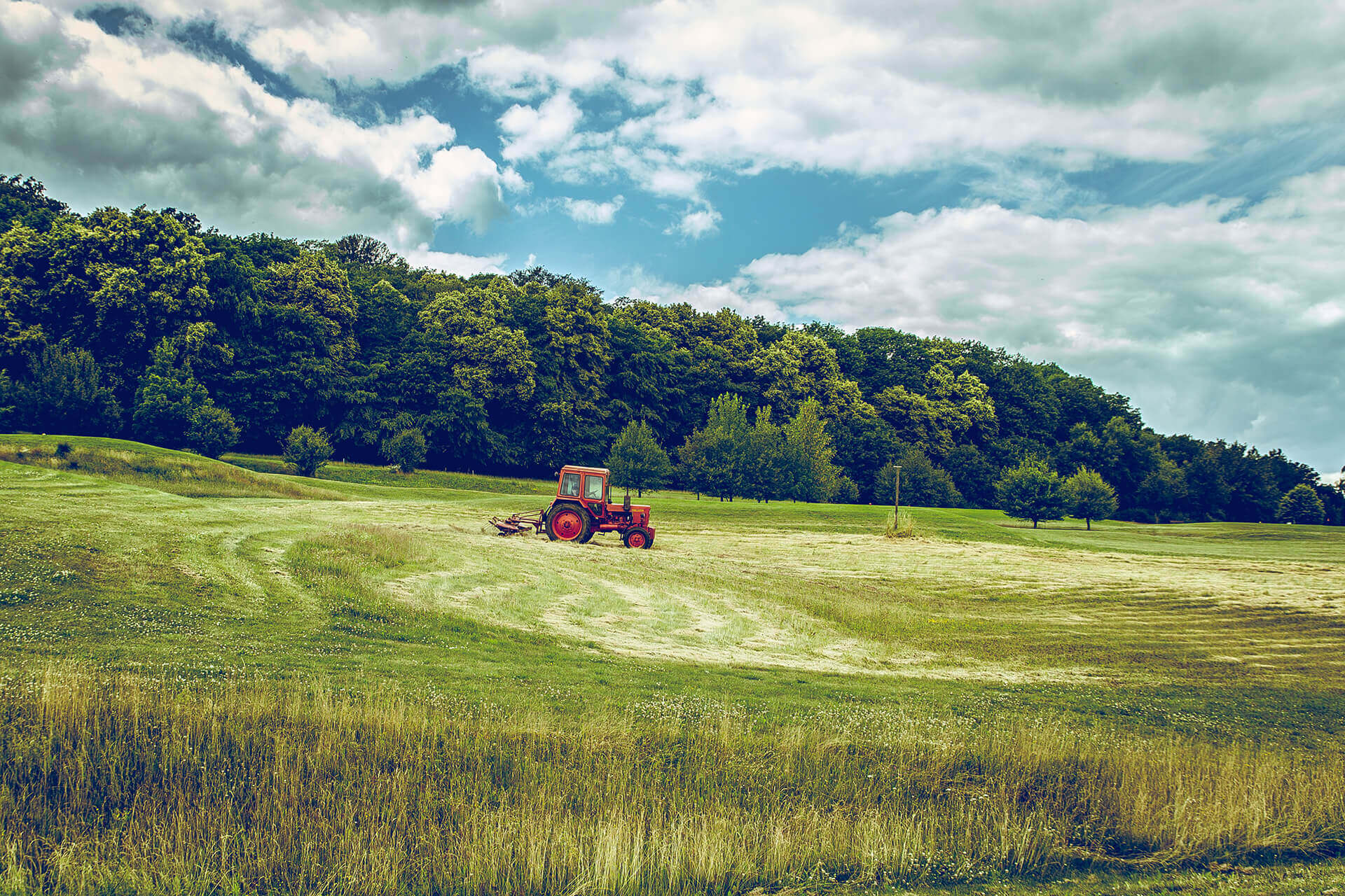 the Farming season